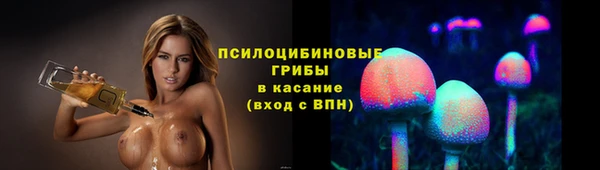 таблы Гусев