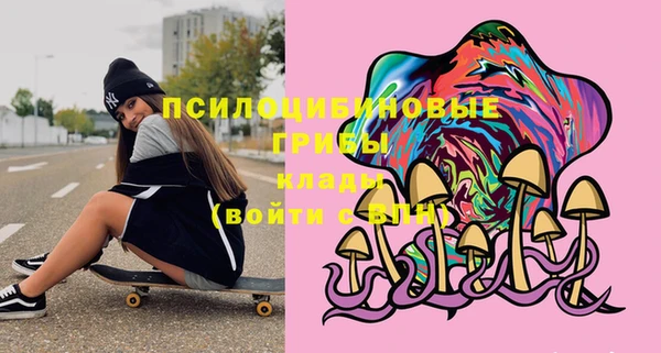 бошки Гусь-Хрустальный
