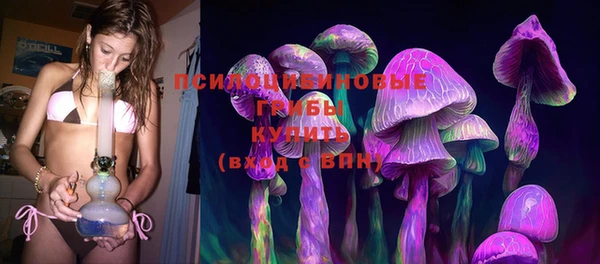 гашик Гусиноозёрск