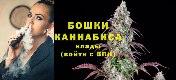 не бодяженный Горно-Алтайск