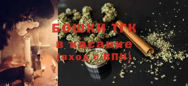таблы Гусев