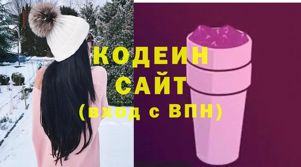гашик Гусиноозёрск