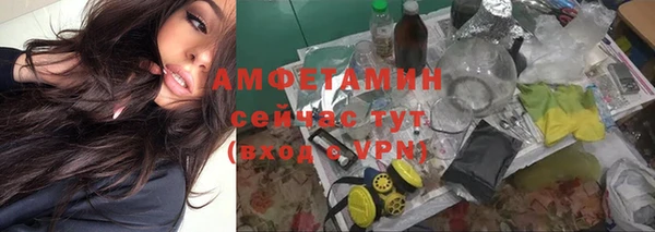 таблы Гусев