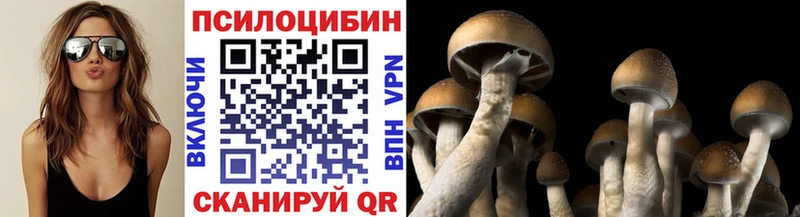 Галлюциногенные грибы ЛСД  Гусь-Хрустальный 